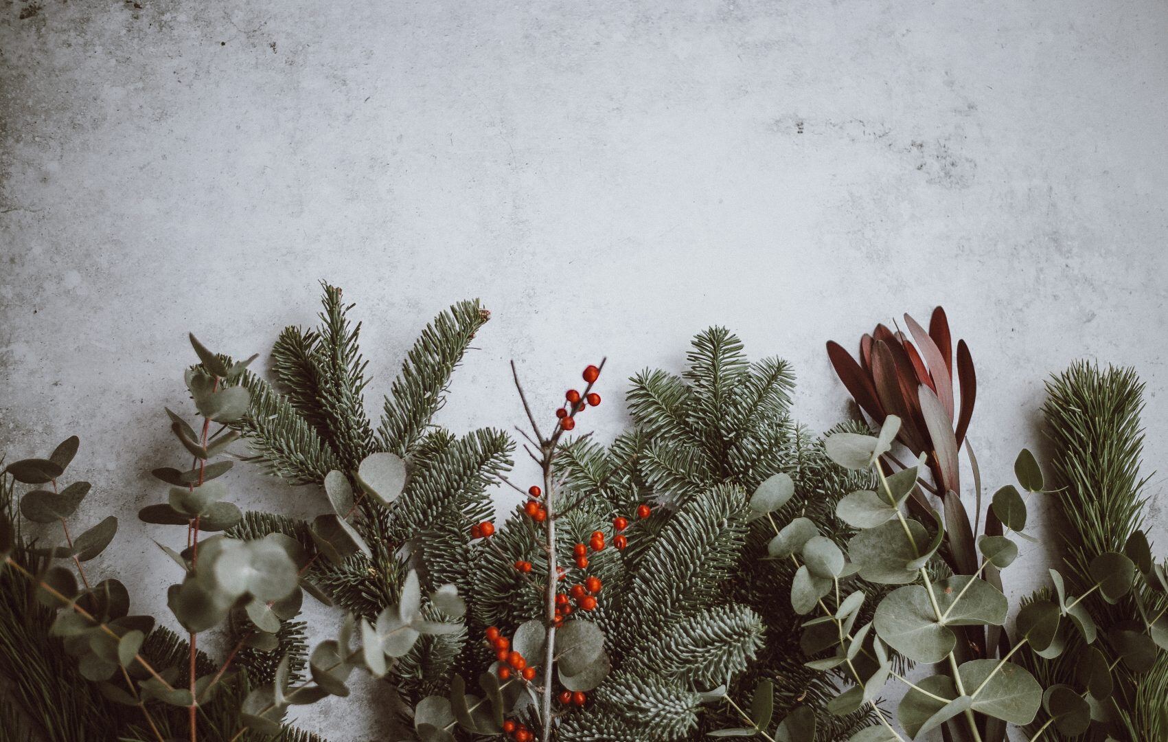 Add a Festive Feel to your Kitchen this season | Drew Forsyth 